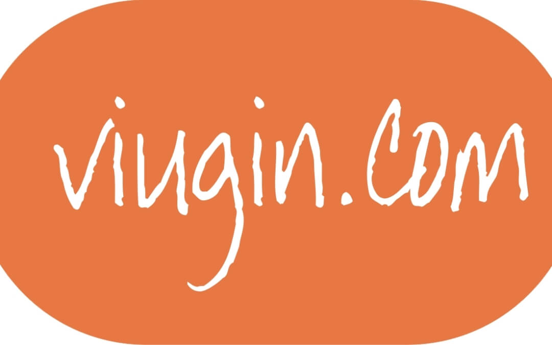 viugin.com